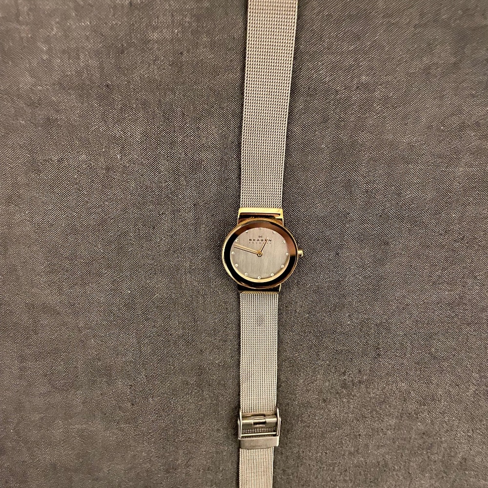 Skagen watch